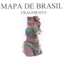 mapa de brasil frafmento cortesia nel amaro courtesy from the artist to klauss van damme all rights reserved vegap